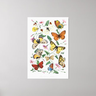 Toile Butterflies Wall Art Canvas Vintage Style Nature
