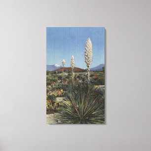 Toile Cactus de CaliforniaYucca en fleur dans le désert