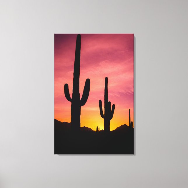Toile Cactus du Saguaro au lever du soleil, Arizona (Recto)