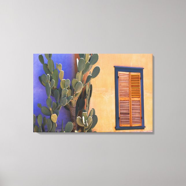 Toile Cactus du sud-ouest (Opuntia dejecta) et (Recto)