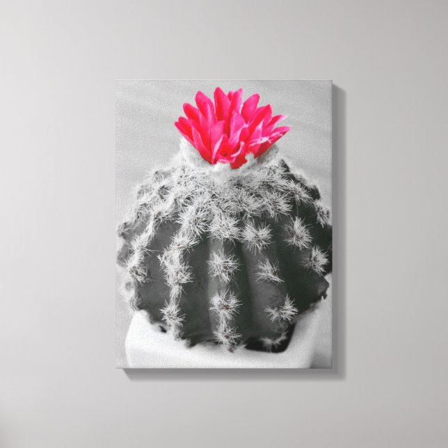 Toile Cactus Plante noir blanc photo avec Fleur rose (Recto)