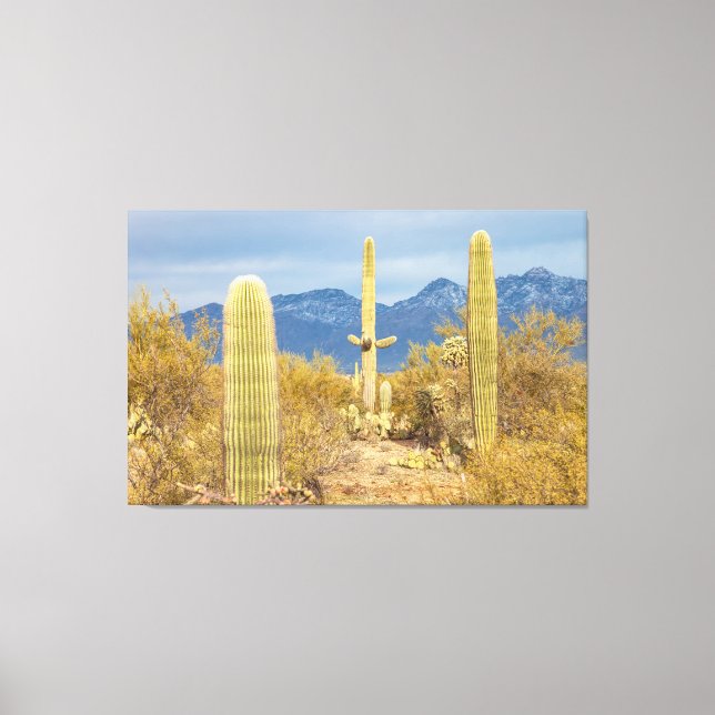 Toile Cactus Saguaro dans un paysage désertique (Recto)
