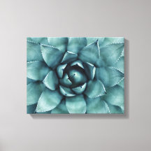 Cactus Succulent Cactus Canvas Art