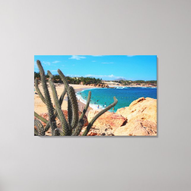 Toile Cactus Sur Une Colline Rocheuse Au-Dessus De La Pl (Recto)