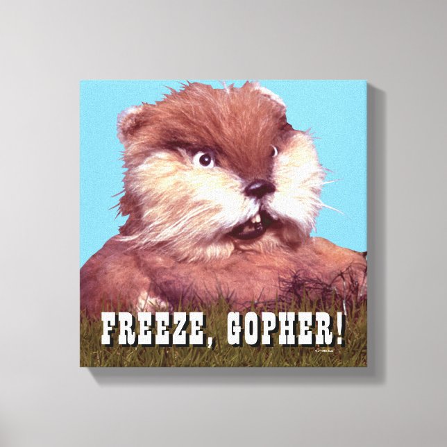 Toile Caddyshack | Freeze, Gopher ! (Recto)