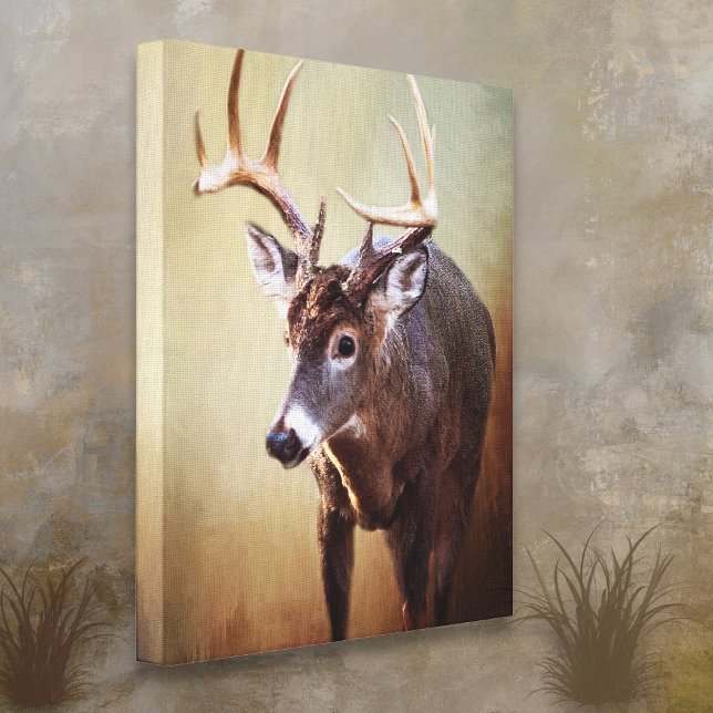 Toile Cades Cove Buck Canvas Print (Créateur téléchargé)