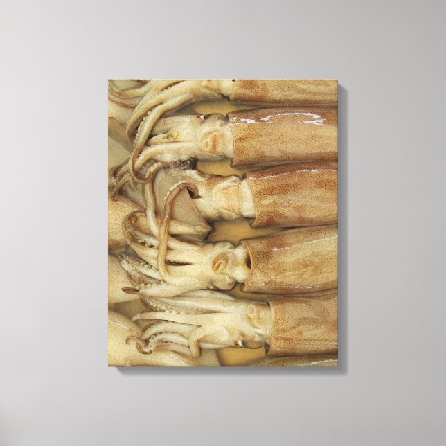 Toile Calamari (Recto)