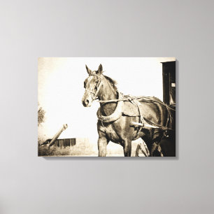 Toile Calèche amish en sépia