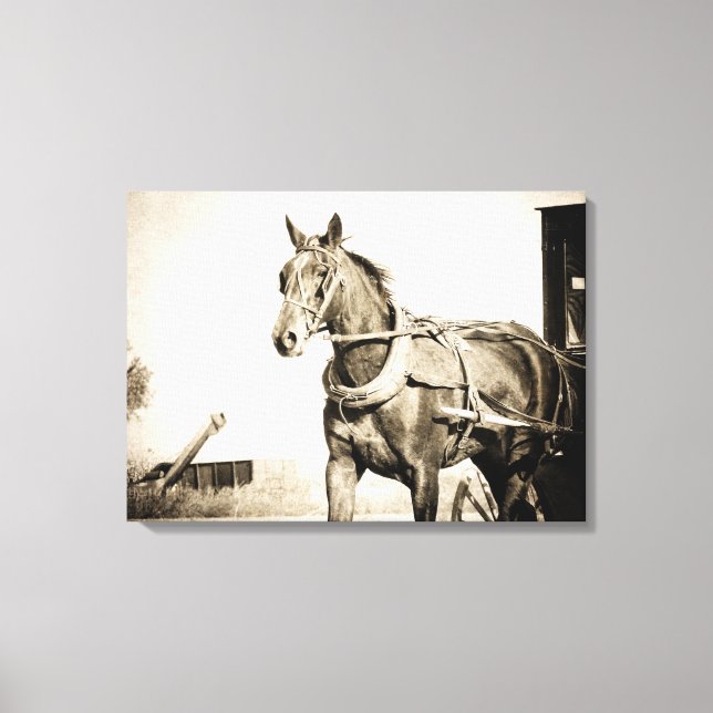 Toile Calèche amish en sépia (Recto)