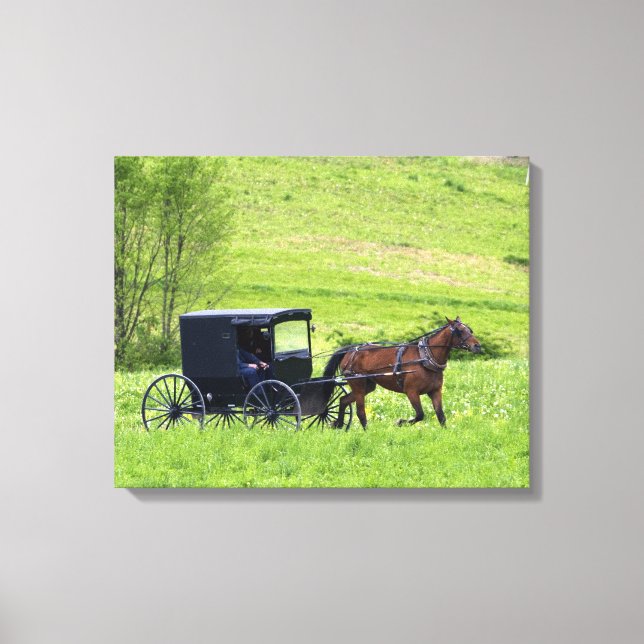 Toile Calèche et cheval amish près de Berlin, Ohio. (Recto)
