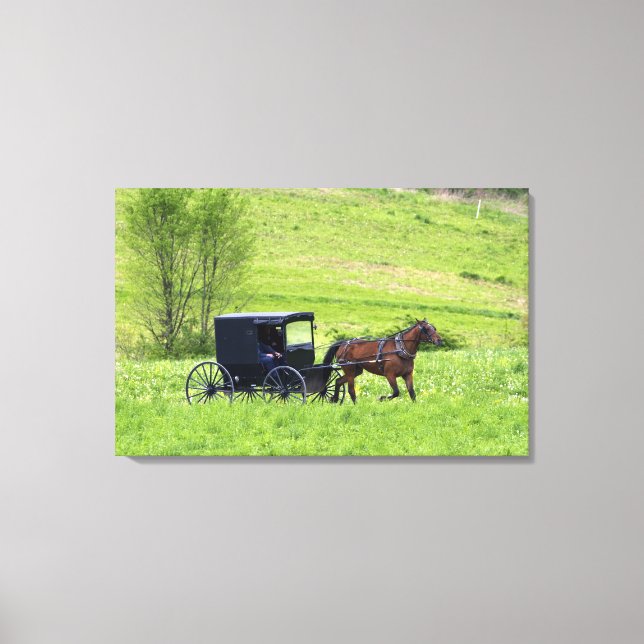 Toile Calèche et cheval amish près de Berlin, Ohio. (Recto)