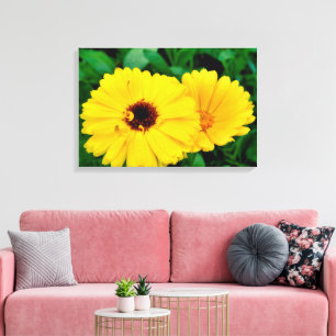 Toile Calendula Officinalis