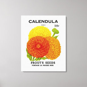 Toile Calendula Vintage Seed Packet