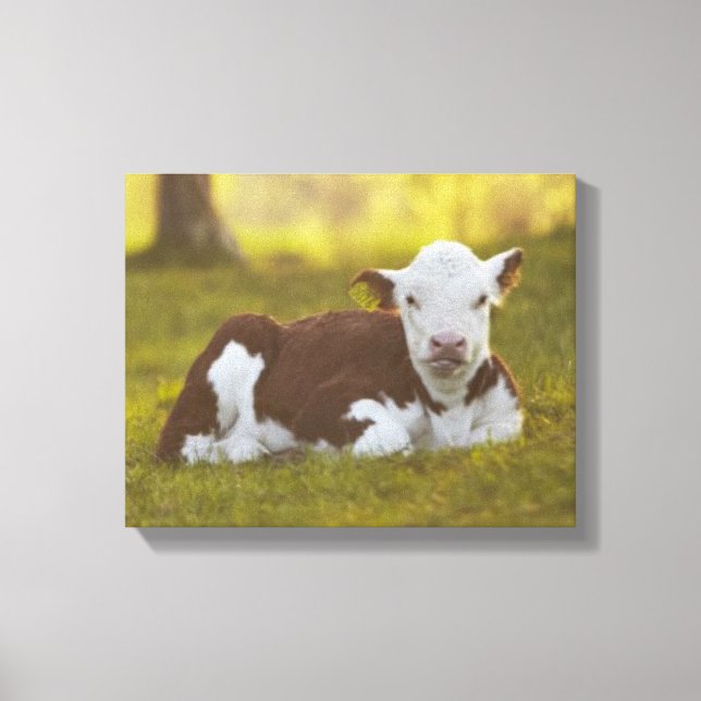 Toile Calf Repose (Recto)