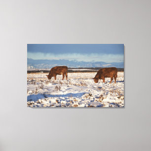 Toile Calgary, Alberta, Canada 2