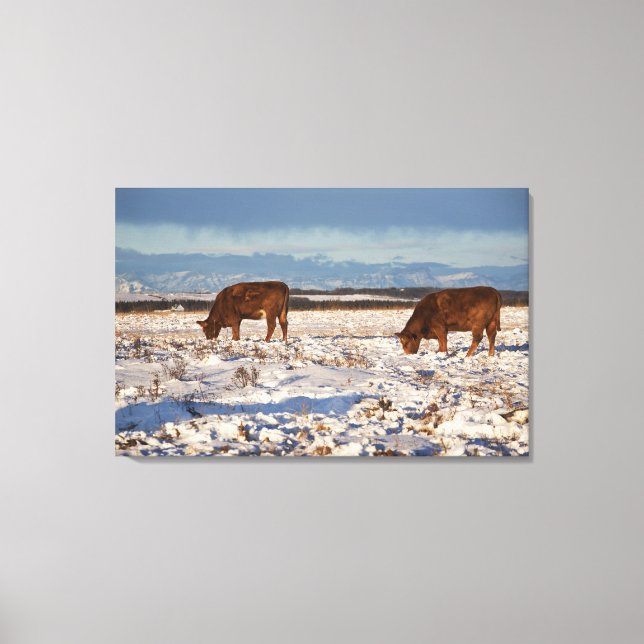 Toile calgary, alberta, canada 2 (Recto)