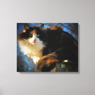 Toile Calico Chat au vent