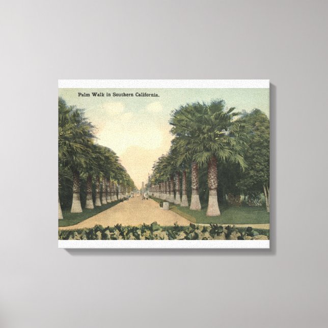 Toile CaliforniaPalms Allong Road (Recto)