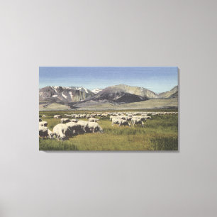 Toile CaliforniaSheep frôlant en haute sierra