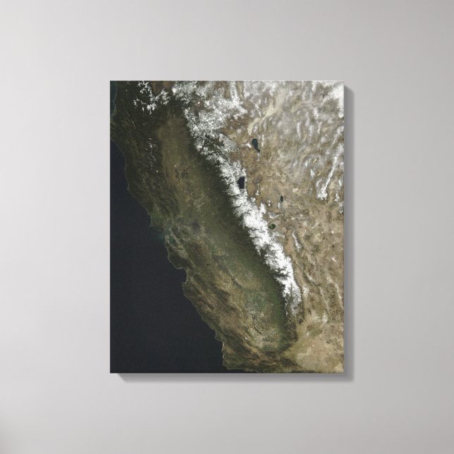 Toile Californie (Recto)