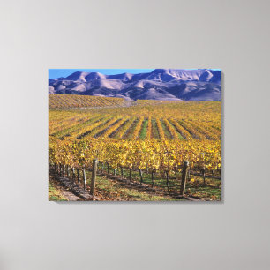 Toile Californie, comté de San Luis Obispo, vallée d'Edn