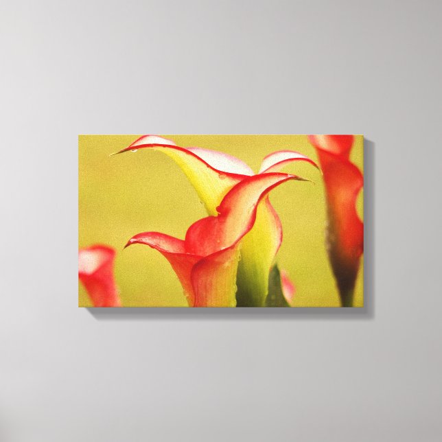 Toile Calla Lily Wall Art (Recto)