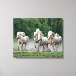 Toile Camargue Chevaux courant dans l'eau