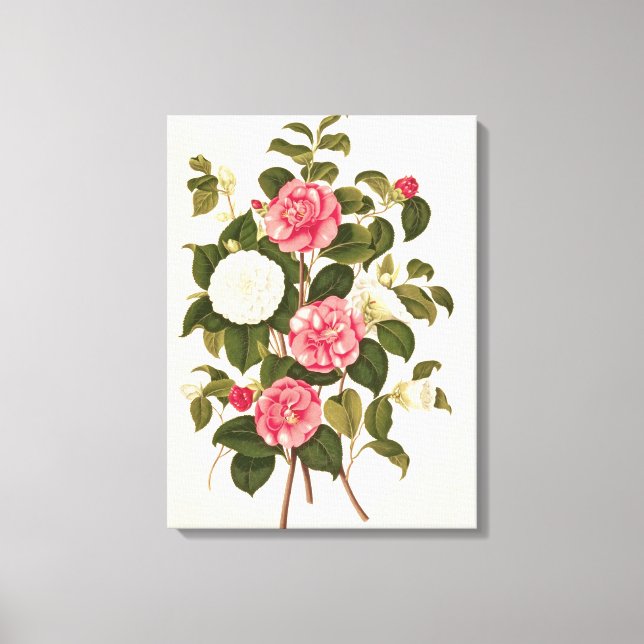 Toile Camellia de "Une monographie sur le genre" (Recto)