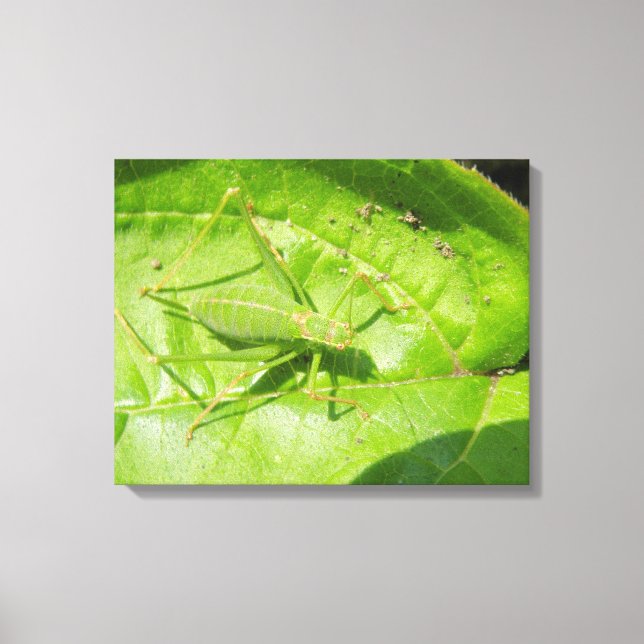 Toile Camouflage Cricket Vert Imprimer (Recto)