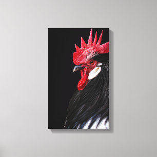 Toile Campagne Coq noir rouge blanc poulet photo