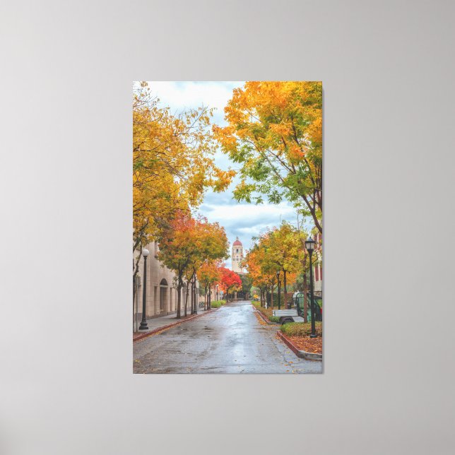 Toile Campus de Stanford à l'automne (Recto)