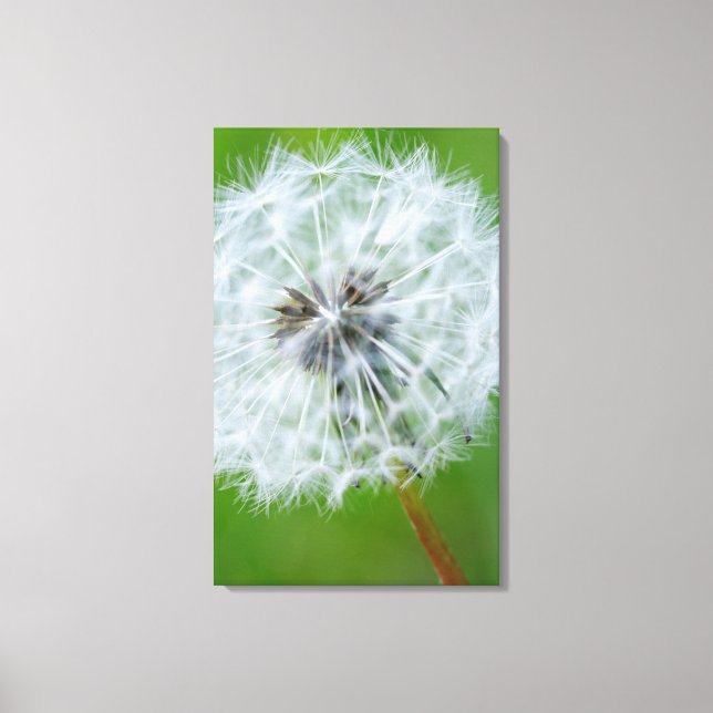 Toile Canada, Colombie-Britannique, Île de Vancouver 4 (Recto)