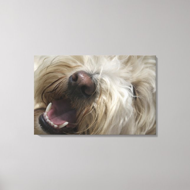 Toile Canada, Colombie-Britannique, Vancouver (Recto)