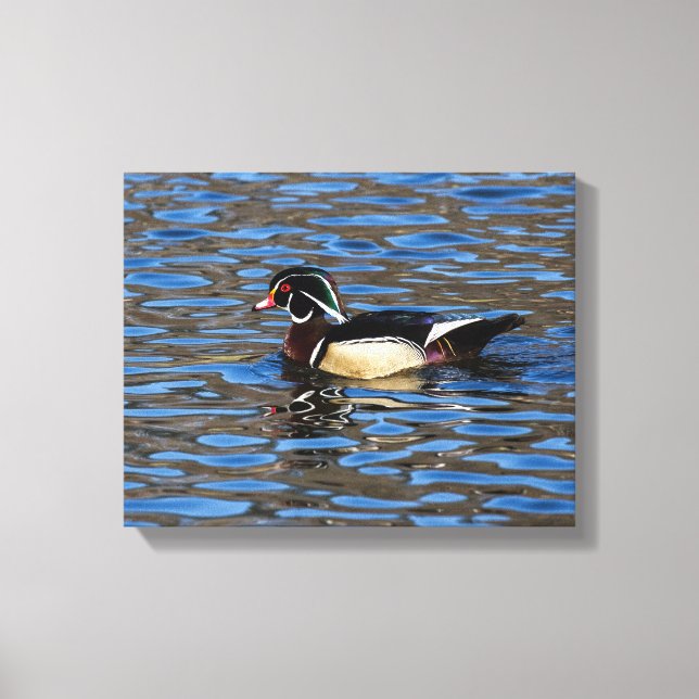 Toile Canard à bois mâle (Recto)