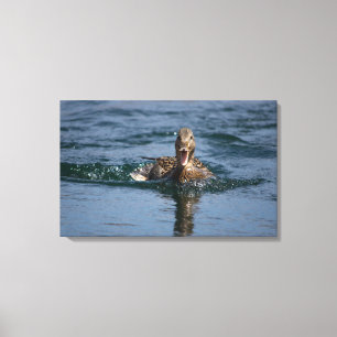 Toile Canard avec bec ouvert