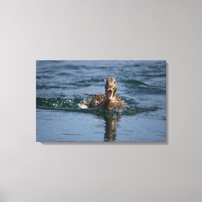 Toile Canard avec bec ouvert (Recto)