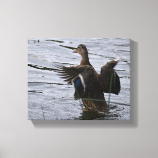 Toile Canard colvert battant des ailes