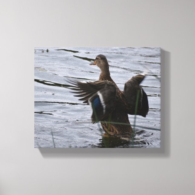 Toile Canard colvert battant des ailes (Recto)