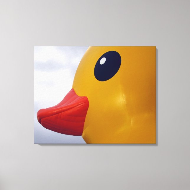 Toile canard en caoutchouc (Recto)