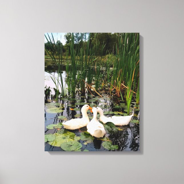 Toile Canards blancs, caleçons, cattails, lac (Recto)