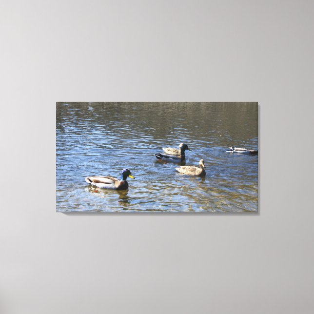 Toile canards dans l'eau (Recto)