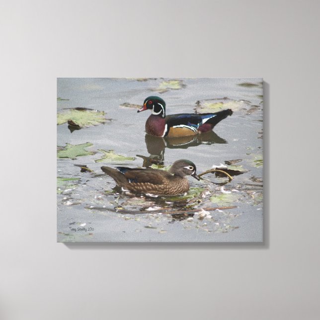 Toile Canards en bois dans un étang (Recto)