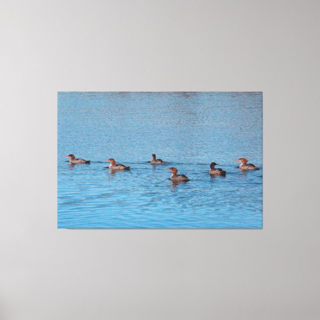 Toile Canards Par Six (Recto)