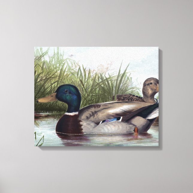 Toile Canards sur l'étang peinture Vintage (Recto)