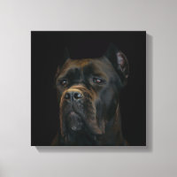 Cane Corso - Mastiff italien