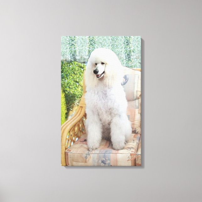 Toile Caniche blanc (Recto)