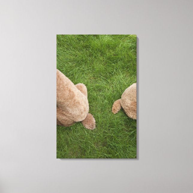 Toile caniche standard 5 (Recto)