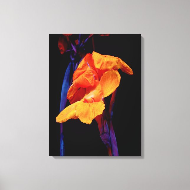 Toile Canna Lys sur noir avec bleu (Recto)