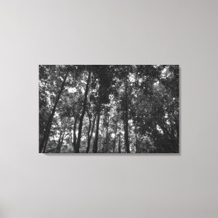 Toile Canopée de bois 02 BW