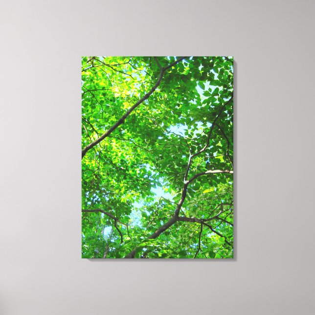 Toile Canopée verte, Branches feuillues avec ciel bleu (Recto)